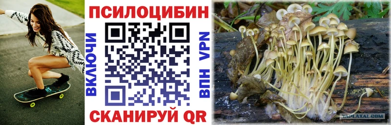 Галлюциногенные грибы MAGIC MUSHROOMS  Купить  Кудымкар 